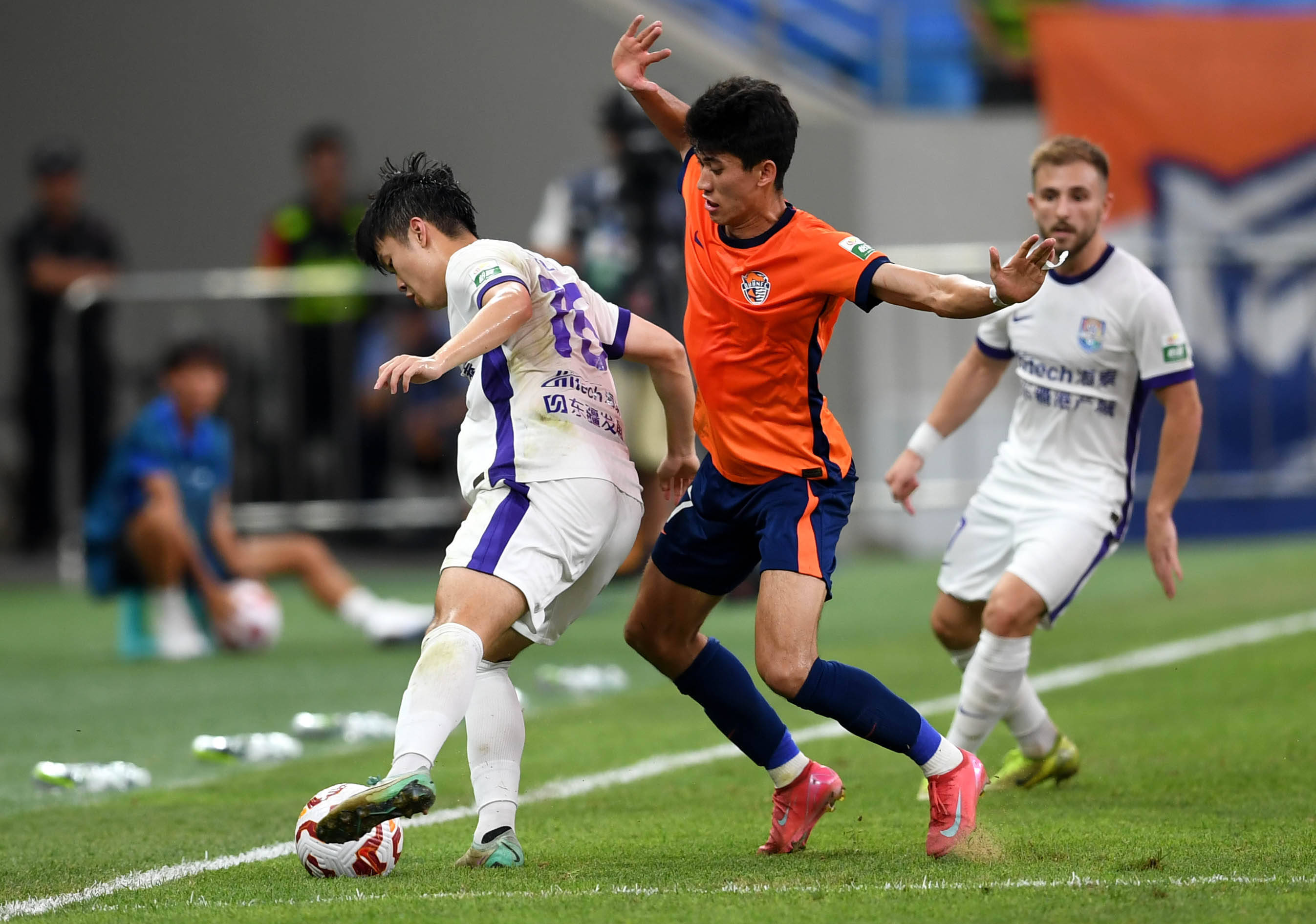 们提供了直 们提供了直