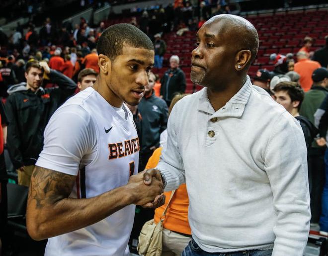 体系的专业 体系的专业