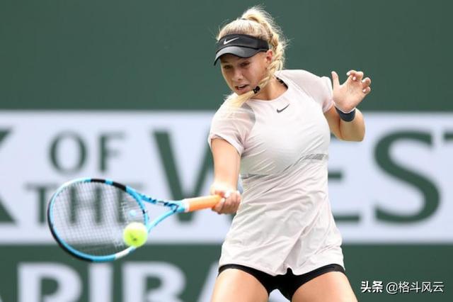 顶端徘徊 顶端徘徊