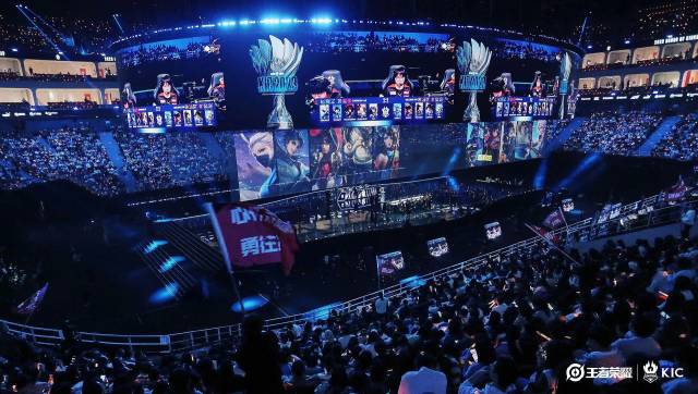 顶端徘徊 顶端徘徊