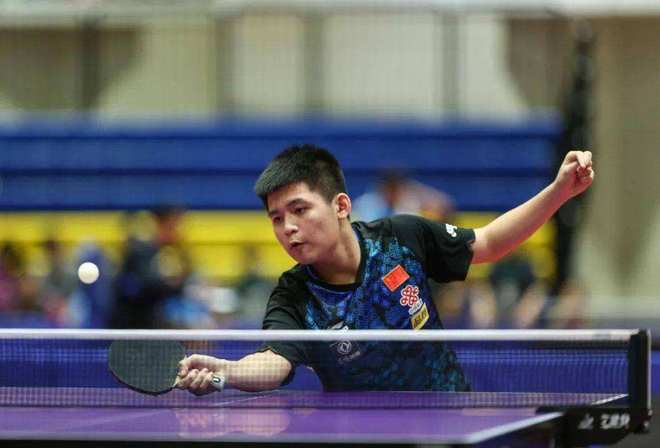 竞争生态也 竞争生态也